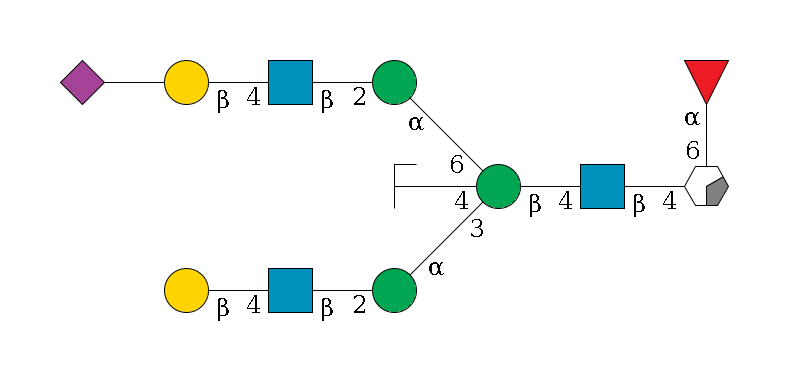 b1D-GlcNAc,p/#acleavage_0_2(--4b1D-GlcNAc,p--4b1D-Man,p((--3a1D-Man,p--2b1D-GlcNAc,p--4b1D-Gal,p)--4b1D-GlcNAc,p/#zcleavage)--6a1D-Man,p--2b1D-GlcNAc,p--4b1D-Gal,p--??2D-NeuAc,p)--6a1L-Fuc,p$MONO,Und,-2H,0,redEnd