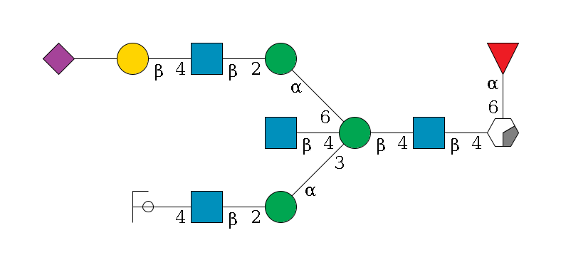 b1D-GlcNAc,p/#acleavage_0_2(--4b1D-GlcNAc,p--4b1D-Man,p((--3a1D-Man,p--2b1D-GlcNAc,p--4b1D-Gal,p/#ycleavage)--4b1D-GlcNAc,p)--6a1D-Man,p--2b1D-GlcNAc,p--4b1D-Gal,p--??2D-NeuAc,p)--6a1L-Fuc,p$MONO,Und,-2H,0,redEnd