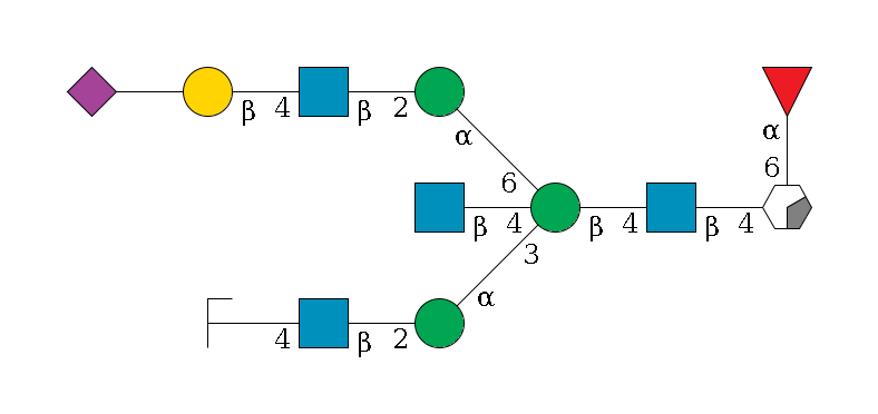 b1D-GlcNAc,p/#acleavage_0_2(--4b1D-GlcNAc,p--4b1D-Man,p((--3a1D-Man,p--2b1D-GlcNAc,p--4b1D-Gal,p/#zcleavage)--4b1D-GlcNAc,p)--6a1D-Man,p--2b1D-GlcNAc,p--4b1D-Gal,p--??2D-NeuAc,p)--6a1L-Fuc,p$MONO,Und,-2H,0,redEnd