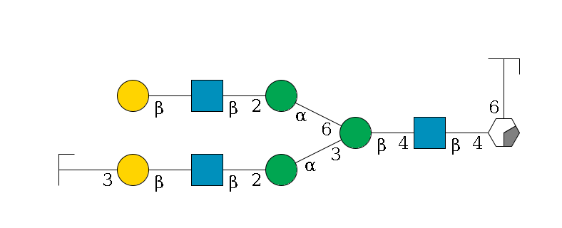 b1D-GlcNAc,p/#acleavage_0_2(--4b1D-GlcNAc,p--4b1D-Man,p(--3a1D-Man,p--2b1D-GlcNAc,p--?b1D-Gal,p--3a2D-NeuAc,p/#zcleavage)--6a1D-Man,p--2b1D-GlcNAc,p--?b1D-Gal,p)--6a1L-Fuc,p/#zcleavage$MONO,Und,-2H,0,redEnd