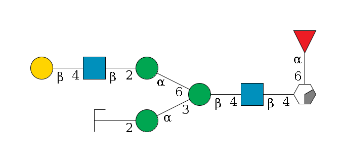 b1D-GlcNAc,p/#acleavage_0_2(--6a1L-Fuc,p)--4b1D-GlcNAc,p--4b1D-Man,p(--3a1D-Man,p--2?1D-GlcNAc,p/#zcleavage)--6a1D-Man,p--2b1D-GlcNAc,p--4b1D-Gal,p$MONO,Und,-2H,0,redEnd