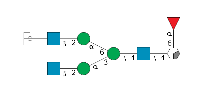 b1D-GlcNAc,p/#acleavage_0_2(--6a1L-Fuc,p)--4b1D-GlcNAc,p--4b1D-Man,p(--3a1D-Man,p--2b1D-GlcNAc,p)--6a1D-Man,p--2b1D-GlcNAc,p--??1D-Gal,p/#ycleavage$MONO,Und,-2H,0,redEnd