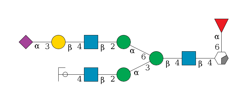 b1D-GlcNAc,p/#acleavage_0_2(--6a1L-Fuc,p)--4b1D-GlcNAc,p--4b1D-Man,p(--3a1D-Man,p--2b1D-GlcNAc,p--4b1D-Gal,p/#ycleavage)--6a1D-Man,p--2b1D-GlcNAc,p--4b1D-Gal,p--3a2D-NeuAc,p$MONO,Und,-2H,0,redEnd