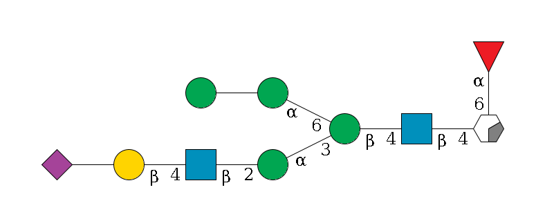 b1D-GlcNAc,p/#acleavage_0_2(--6a1L-Fuc,p)--4b1D-GlcNAc,p--4b1D-Man,p(--3a1D-Man,p--2b1D-GlcNAc,p--4b1D-Gal,p--??2D-NeuAc,p)--6a1D-Man,p--??1D-Man,p$MONO,Und,-2H,0,redEnd