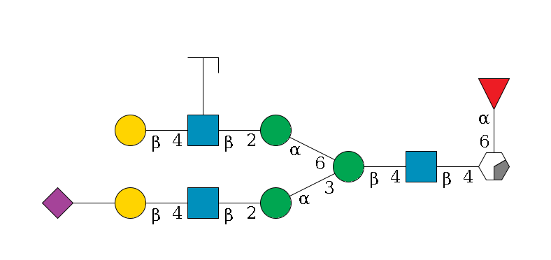 b1D-GlcNAc,p/#acleavage_0_2(--6a1L-Fuc,p)--4b1D-GlcNAc,p--4b1D-Man,p(--3a1D-Man,p--2b1D-GlcNAc,p--4b1D-Gal,p--??2D-NeuAc,p)--6a1D-Man,p--2b1D-GlcNAc,p(--4b1D-Gal,p)--??1L-Fuc,p/#zcleavage$MONO,Und,-2H,0,redEnd