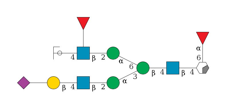 b1D-GlcNAc,p/#acleavage_0_2(--6a1L-Fuc,p)--4b1D-GlcNAc,p--4b1D-Man,p(--3a1D-Man,p--2b1D-GlcNAc,p--4b1D-Gal,p--??2D-NeuAc,p)--6a1D-Man,p--2b1D-GlcNAc,p(--4b1D-Gal,p/#ycleavage)--??1L-Fuc,p$MONO,Und,-2H,0,redEnd