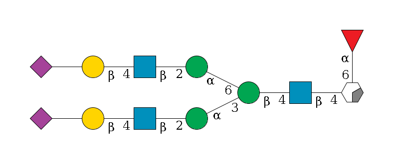 b1D-GlcNAc,p/#acleavage_0_2(--6a1L-Fuc,p)--4b1D-GlcNAc,p--4b1D-Man,p(--3a1D-Man,p--2b1D-GlcNAc,p--4b1D-Gal,p--??2D-NeuAc,p)--6a1D-Man,p--2b1D-GlcNAc,p--4b1D-Gal,p--??2D-NeuAc,p$MONO,Und,-2H,0,redEnd