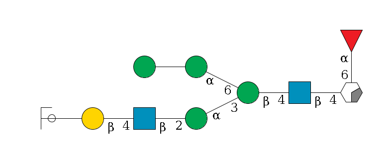 b1D-GlcNAc,p/#acleavage_0_2(--6a1L-Fuc,p)--4b1D-GlcNAc,p--4b1D-Man,p(--3a1D-Man,p--2b1D-GlcNAc,p--4b1D-Gal,p--??2D-NeuAc,p/#ycleavage)--6a1D-Man,p--??1D-Man,p$MONO,Und,-2H,0,redEnd