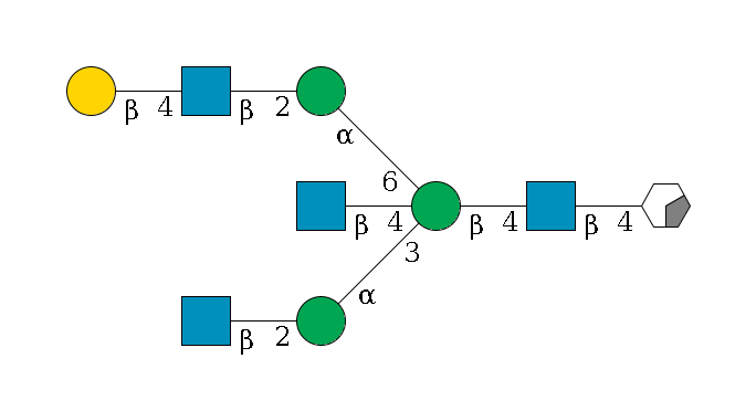 b1D-GlcNAc,p/#acleavage_0_2--4b1D-GlcNAc,p--4b1D-Man,p((--3a1D-Man,p--2b1D-GlcNAc,p)--4b1D-GlcNAc,p)--6a1D-Man,p--2b1D-GlcNAc,p--4b1D-Gal,p$MONO,Und,-2H,0,redEnd
