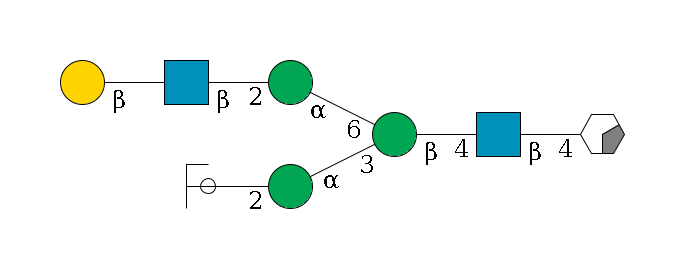 b1D-GlcNAc,p/#acleavage_0_2--4b1D-GlcNAc,p--4b1D-Man,p(--3a1D-Man,p--2b1D-GlcNAc,p/#ycleavage)--6a1D-Man,p--2b1D-GlcNAc,p--?b1D-Gal,p$MONO,Und,-2H,0,redEnd