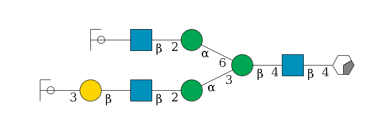 b1D-GlcNAc,p/#acleavage_0_2--4b1D-GlcNAc,p--4b1D-Man,p(--3a1D-Man,p--2b1D-GlcNAc,p--?b1D-Gal,p--3a2D-NeuAc,p/#ycleavage)--6a1D-Man,p--2b1D-GlcNAc,p--?b1D-Gal,p/#ycleavage$MONO,Und,-H,0,redEnd