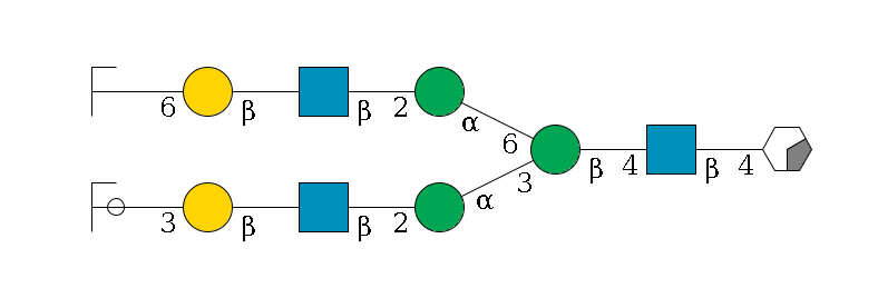 b1D-GlcNAc,p/#acleavage_0_2--4b1D-GlcNAc,p--4b1D-Man,p(--3a1D-Man,p--2b1D-GlcNAc,p--?b1D-Gal,p--3a2D-NeuAc,p/#ycleavage)--6a1D-Man,p--2b1D-GlcNAc,p--?b1D-Gal,p--6a2D-NeuAc,p/#zcleavage$MONO,Und,-H,0,redEnd