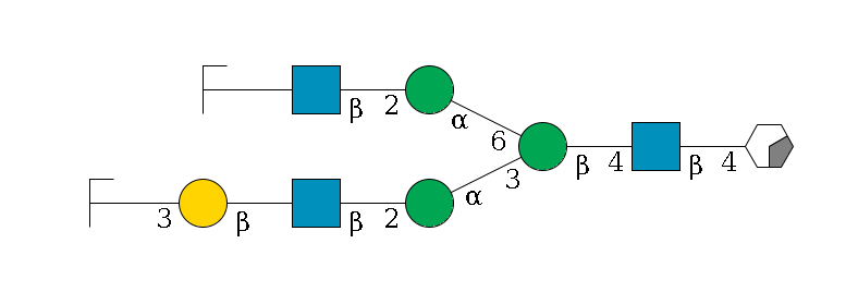 b1D-GlcNAc,p/#acleavage_0_2--4b1D-GlcNAc,p--4b1D-Man,p(--3a1D-Man,p--2b1D-GlcNAc,p--?b1D-Gal,p--3a2D-NeuAc,p/#zcleavage)--6a1D-Man,p--2b1D-GlcNAc,p--?b1D-Gal,p/#zcleavage$MONO,Und,-2H,0,redEnd