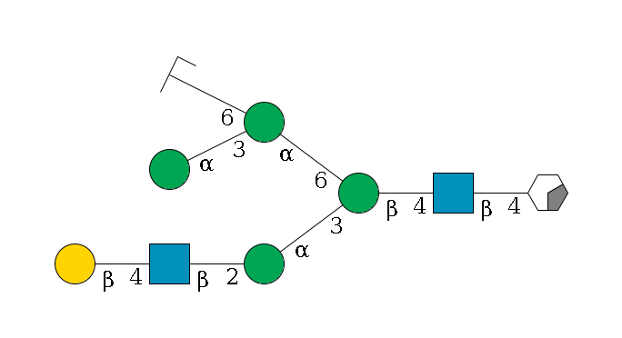 b1D-GlcNAc,p/#acleavage_0_2--4b1D-GlcNAc,p--4b1D-Man,p(--3a1D-Man,p--2b1D-GlcNAc,p--4b1D-Gal,p)--6a1D-Man,p(--3a1D-Man,p)--6a1D-Man,p/#zcleavage$MONO,Und,-2H,0,redEnd