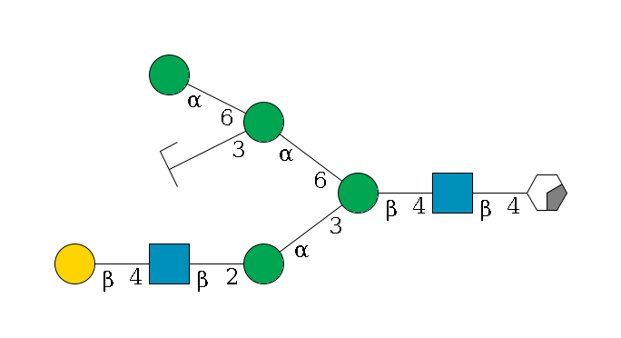 b1D-GlcNAc,p/#acleavage_0_2--4b1D-GlcNAc,p--4b1D-Man,p(--3a1D-Man,p--2b1D-GlcNAc,p--4b1D-Gal,p)--6a1D-Man,p(--3a1D-Man,p/#zcleavage)--6a1D-Man,p$MONO,Und,-2H,0,redEnd