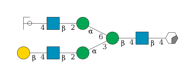 b1D-GlcNAc,p/#acleavage_0_2--4b1D-GlcNAc,p--4b1D-Man,p(--3a1D-Man,p--2b1D-GlcNAc,p--4b1D-Gal,p)--6a1D-Man,p--2b1D-GlcNAc,p--4b1D-Gal,p/#ycleavage$MONO,Und,-2H,0,redEnd