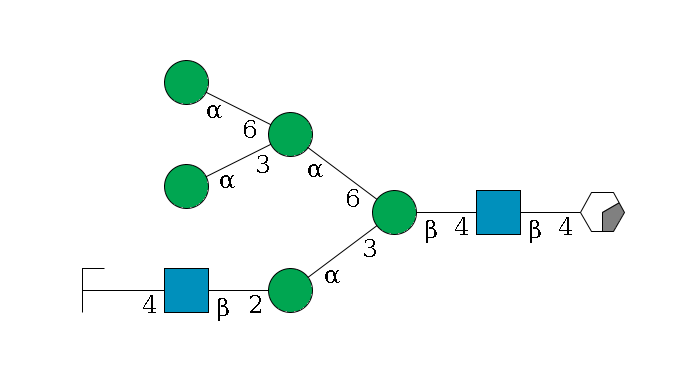 b1D-GlcNAc,p/#acleavage_0_2--4b1D-GlcNAc,p--4b1D-Man,p(--3a1D-Man,p--2b1D-GlcNAc,p--4b1D-Gal,p/#zcleavage)--6a1D-Man,p(--3a1D-Man,p)--6a1D-Man,p$MONO,Und,-2H,0,redEnd