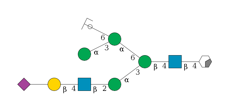 b1D-GlcNAc,p/#acleavage_0_2--4b1D-GlcNAc,p--4b1D-Man,p(--3a1D-Man,p--2b1D-GlcNAc,p--4b1D-Gal,p--??2D-NeuAc,p)--6a1D-Man,p(--3a1D-Man,p)--6a1D-Man,p/#ycleavage$MONO,Und,-2H,0,redEnd