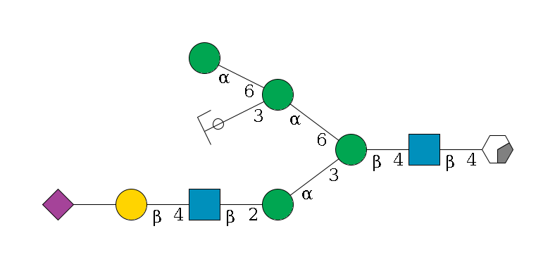 b1D-GlcNAc,p/#acleavage_0_2--4b1D-GlcNAc,p--4b1D-Man,p(--3a1D-Man,p--2b1D-GlcNAc,p--4b1D-Gal,p--??2D-NeuAc,p)--6a1D-Man,p(--3a1D-Man,p/#ycleavage)--6a1D-Man,p$MONO,Und,-2H,0,redEnd