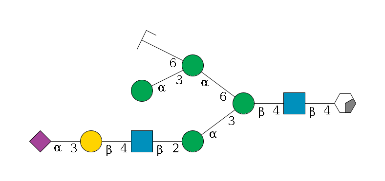 b1D-GlcNAc,p/#acleavage_0_2--4b1D-GlcNAc,p--4b1D-Man,p(--3a1D-Man,p--2b1D-GlcNAc,p--4b1D-Gal,p--3a2D-NeuAc,p)--6a1D-Man,p(--3a1D-Man,p)--6a1D-Man,p/#zcleavage$MONO,Und,-2H,0,redEnd
