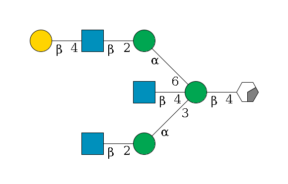 b1D-GlcNAc,p/#acleavage_0_2--4b1D-Man,p((--3a1D-Man,p--2b1D-GlcNAc,p)--4b1D-GlcNAc,p)--6a1D-Man,p--2b1D-GlcNAc,p--4b1D-Gal,p$MONO,Und,-2H,0,redEnd