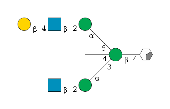 b1D-GlcNAc,p/#acleavage_0_2--4b1D-Man,p((--3a1D-Man,p--2b1D-GlcNAc,p)--4b1D-GlcNAc,p/#zcleavage)--6a1D-Man,p--2b1D-GlcNAc,p--4b1D-Gal,p$MONO,Und,-2H,0,redEnd