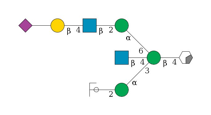 b1D-GlcNAc,p/#acleavage_0_2--4b1D-Man,p((--3a1D-Man,p--2b1D-GlcNAc,p/#ycleavage)--4b1D-GlcNAc,p)--6a1D-Man,p--2b1D-GlcNAc,p--4b1D-Gal,p--??2D-NeuAc,p$MONO,Und,-H,0,redEnd