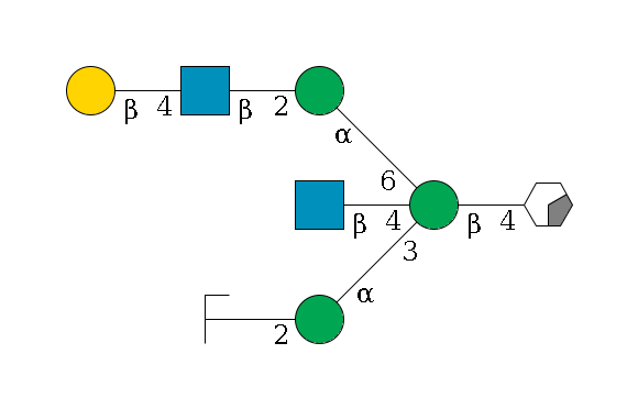 b1D-GlcNAc,p/#acleavage_0_2--4b1D-Man,p((--3a1D-Man,p--2b1D-GlcNAc,p/#zcleavage)--4b1D-GlcNAc,p)--6a1D-Man,p--2b1D-GlcNAc,p--4b1D-Gal,p$MONO,Und,-2H,0,redEnd