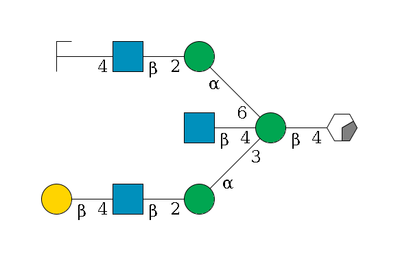 b1D-GlcNAc,p/#acleavage_0_2--4b1D-Man,p((--3a1D-Man,p--2b1D-GlcNAc,p--4b1D-Gal,p)--4b1D-GlcNAc,p)--6a1D-Man,p--2b1D-GlcNAc,p--4b1D-Gal,p/#zcleavage$MONO,Und,-2H,0,redEnd