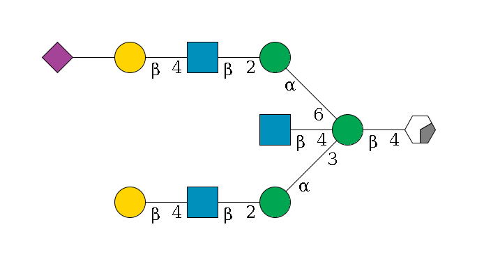 b1D-GlcNAc,p/#acleavage_0_2--4b1D-Man,p((--3a1D-Man,p--2b1D-GlcNAc,p--4b1D-Gal,p)--4b1D-GlcNAc,p)--6a1D-Man,p--2b1D-GlcNAc,p--4b1D-Gal,p--??2D-NeuAc,p$MONO,Und,-H,0,redEnd