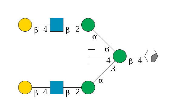 b1D-GlcNAc,p/#acleavage_0_2--4b1D-Man,p((--3a1D-Man,p--2b1D-GlcNAc,p--4b1D-Gal,p)--4b1D-GlcNAc,p/#zcleavage)--6a1D-Man,p--2b1D-GlcNAc,p--4b1D-Gal,p$MONO,Und,-2H,0,redEnd