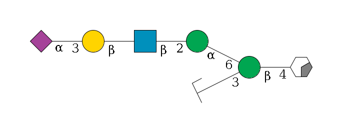b1D-GlcNAc,p/#acleavage_0_2--4b1D-Man,p(--3a1D-Man,p/#zcleavage)--6a1D-Man,p--2b1D-GlcNAc,p--?b1D-Gal,p--3a2D-NeuAc,p$MONO,Und,-H,0,redEnd