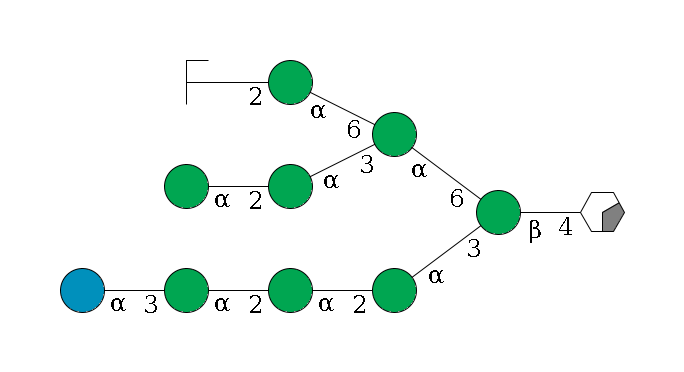 b1D-GlcNAc,p/#acleavage_0_2--4b1D-Man,p(--3a1D-Man,p--2a1D-Man,p--2a1D-Man,p--3a1D-Glc,p)--6a1D-Man,p(--3a1D-Man,p--2a1D-Man,p)--6a1D-Man,p--2a1D-Man,p/#zcleavage$MONO,Und,-2H,0,redEnd