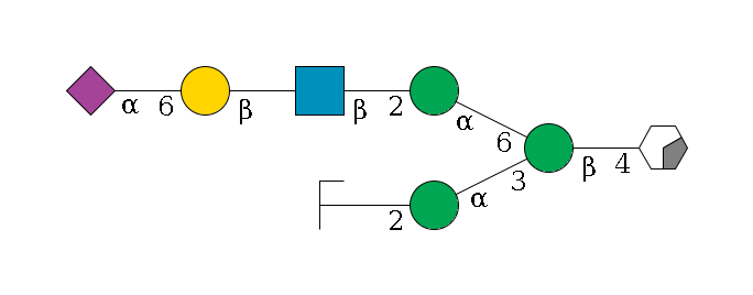 b1D-GlcNAc,p/#acleavage_0_2--4b1D-Man,p(--3a1D-Man,p--2b1D-GlcNAc,p/#zcleavage)--6a1D-Man,p--2b1D-GlcNAc,p--?b1D-Gal,p--6a2D-NeuAc,p$MONO,Und,-2H,0,redEnd