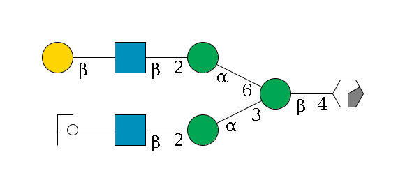 b1D-GlcNAc,p/#acleavage_0_2--4b1D-Man,p(--3a1D-Man,p--2b1D-GlcNAc,p--?b1D-Gal,p/#ycleavage)--6a1D-Man,p--2b1D-GlcNAc,p--?b1D-Gal,p$MONO,Und,-2H,0,redEnd