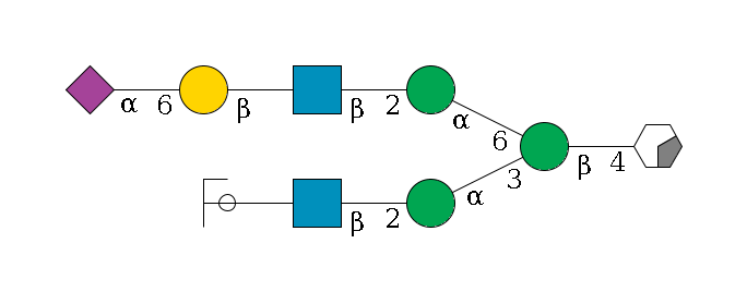 b1D-GlcNAc,p/#acleavage_0_2--4b1D-Man,p(--3a1D-Man,p--2b1D-GlcNAc,p--?b1D-Gal,p/#ycleavage)--6a1D-Man,p--2b1D-GlcNAc,p--?b1D-Gal,p--6a2D-NeuAc,p$MONO,Und,-H,0,redEnd