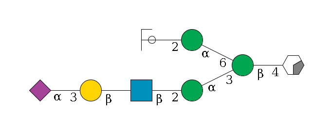 b1D-GlcNAc,p/#acleavage_0_2--4b1D-Man,p(--3a1D-Man,p--2b1D-GlcNAc,p--?b1D-Gal,p--3a2D-NeuAc,p)--6a1D-Man,p--2b1D-GlcNAc,p/#ycleavage$MONO,Und,-H,0,redEnd