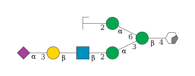 b1D-GlcNAc,p/#acleavage_0_2--4b1D-Man,p(--3a1D-Man,p--2b1D-GlcNAc,p--?b1D-Gal,p--3a2D-NeuAc,p)--6a1D-Man,p--2b1D-GlcNAc,p/#zcleavage$MONO,Und,-2H,0,redEnd