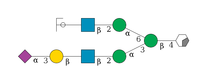 b1D-GlcNAc,p/#acleavage_0_2--4b1D-Man,p(--3a1D-Man,p--2b1D-GlcNAc,p--?b1D-Gal,p--3a2D-NeuAc,p)--6a1D-Man,p--2b1D-GlcNAc,p--?b1D-Gal,p/#ycleavage$MONO,Und,-H,0,redEnd
