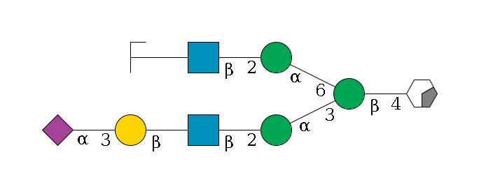 b1D-GlcNAc,p/#acleavage_0_2--4b1D-Man,p(--3a1D-Man,p--2b1D-GlcNAc,p--?b1D-Gal,p--3a2D-NeuAc,p)--6a1D-Man,p--2b1D-GlcNAc,p--?b1D-Gal,p/#zcleavage$MONO,Und,-H,0,redEnd