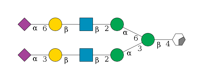 b1D-GlcNAc,p/#acleavage_0_2--4b1D-Man,p(--3a1D-Man,p--2b1D-GlcNAc,p--?b1D-Gal,p--3a2D-NeuAc,p)--6a1D-Man,p--2b1D-GlcNAc,p--?b1D-Gal,p--6a2D-NeuAc,p$MONO,Und,-H,0,redEnd