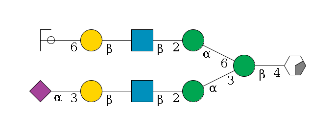 b1D-GlcNAc,p/#acleavage_0_2--4b1D-Man,p(--3a1D-Man,p--2b1D-GlcNAc,p--?b1D-Gal,p--3a2D-NeuAc,p)--6a1D-Man,p--2b1D-GlcNAc,p--?b1D-Gal,p--6a2D-NeuAc,p/#ycleavage$MONO,Und,-H,0,redEnd