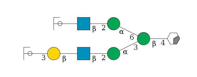 b1D-GlcNAc,p/#acleavage_0_2--4b1D-Man,p(--3a1D-Man,p--2b1D-GlcNAc,p--?b1D-Gal,p--3a2D-NeuAc,p/#ycleavage)--6a1D-Man,p--2b1D-GlcNAc,p--?b1D-Gal,p/#ycleavage$MONO,Und,-2H,0,redEnd