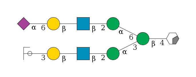 b1D-GlcNAc,p/#acleavage_0_2--4b1D-Man,p(--3a1D-Man,p--2b1D-GlcNAc,p--?b1D-Gal,p--3a2D-NeuAc,p/#ycleavage)--6a1D-Man,p--2b1D-GlcNAc,p--?b1D-Gal,p--6a2D-NeuAc,p$MONO,Und,-H,0,redEnd