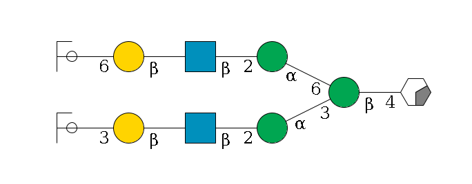 b1D-GlcNAc,p/#acleavage_0_2--4b1D-Man,p(--3a1D-Man,p--2b1D-GlcNAc,p--?b1D-Gal,p--3a2D-NeuAc,p/#ycleavage)--6a1D-Man,p--2b1D-GlcNAc,p--?b1D-Gal,p--6a2D-NeuAc,p/#ycleavage$MONO,Und,-H,0,redEnd