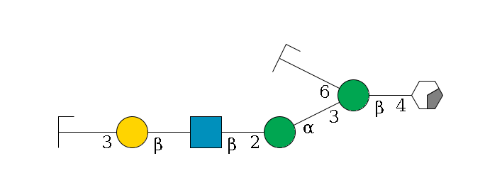 b1D-GlcNAc,p/#acleavage_0_2--4b1D-Man,p(--3a1D-Man,p--2b1D-GlcNAc,p--?b1D-Gal,p--3a2D-NeuAc,p/#zcleavage)--6a1D-Man,p/#zcleavage$MONO,Und,-2H,0,redEnd
