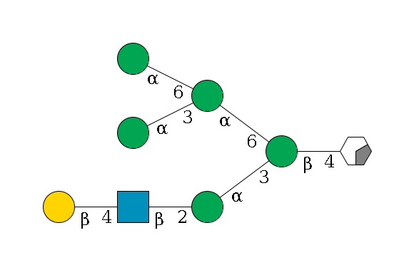 b1D-GlcNAc,p/#acleavage_0_2--4b1D-Man,p(--3a1D-Man,p--2b1D-GlcNAc,p--4b1D-Gal,p)--6a1D-Man,p(--3a1D-Man,p)--6a1D-Man,p$MONO,Und,-2H,0,redEnd