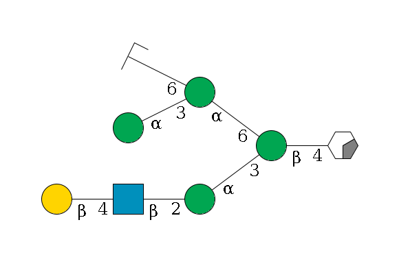 b1D-GlcNAc,p/#acleavage_0_2--4b1D-Man,p(--3a1D-Man,p--2b1D-GlcNAc,p--4b1D-Gal,p)--6a1D-Man,p(--3a1D-Man,p)--6a1D-Man,p/#zcleavage$MONO,Und,-H,0,redEnd