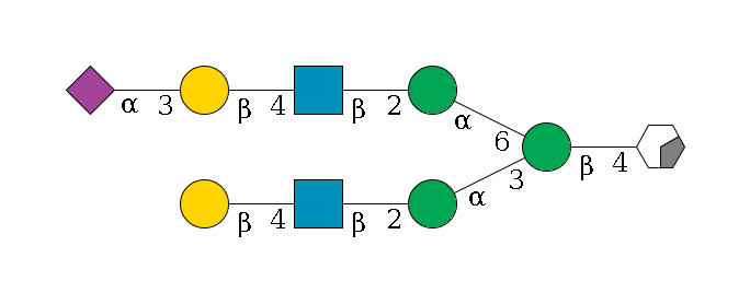 b1D-GlcNAc,p/#acleavage_0_2--4b1D-Man,p(--3a1D-Man,p--2b1D-GlcNAc,p--4b1D-Gal,p)--6a1D-Man,p--2b1D-GlcNAc,p--4b1D-Gal,p--3a2D-NeuAc,p$MONO,Und,-H,0,redEnd