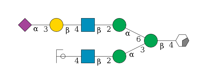 b1D-GlcNAc,p/#acleavage_0_2--4b1D-Man,p(--3a1D-Man,p--2b1D-GlcNAc,p--4b1D-Gal,p/#ycleavage)--6a1D-Man,p--2b1D-GlcNAc,p--4b1D-Gal,p--3a2D-NeuAc,p$MONO,Und,-H,0,redEnd